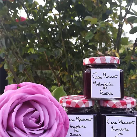 Bed & Breakfast Casa Macianet